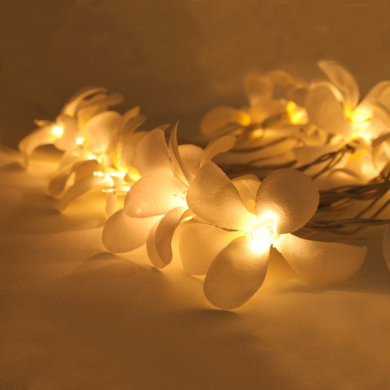 1 Set of 20 LED White Frangipani Flower Battery String Lights Christmas Gift Home Wedding Beach Party Decoration Outdoor Table Centrepiece-3