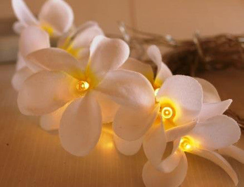 1 Set of 20 LED White Frangipani Flower Battery String Lights Christmas Gift Home Wedding Beach Party Decoration Outdoor Table Centrepiece-4