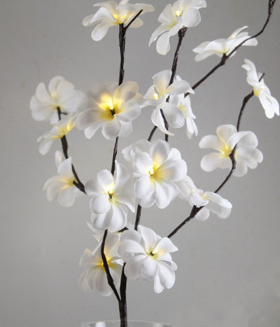 1 Set of 50cm H 20 LED White Frangipani Tree Branch Stem Fairy Light Wedding Event Party Function Table Vase Centrepiece Decoration-0