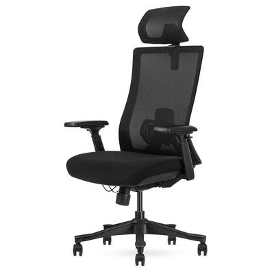 Lifespan Fitness DM9 Ergonomic Mesh High Back Office Chair-1