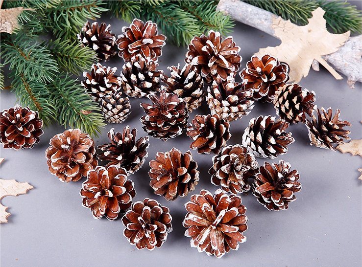 18 Christmas Natural Pine Cones Xmas Tree Hanging Home Decoration Ornament Gifts, 18x Natural w Snow Covered Pinecones-0