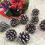 18 Christmas Natural Pine Cones Xmas Tree Hanging Home Decoration Ornament Gifts, 18x Natural w Snow Covered Pinecones-1