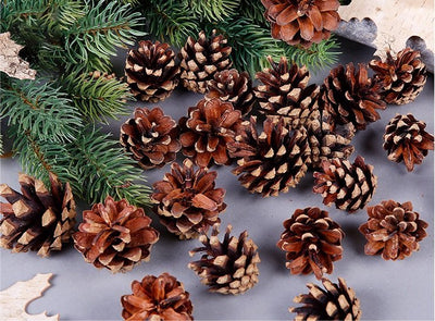 18 Christmas Natural Pine Cones Xmas Tree Hanging Home Decoration Ornament Gifts, 18x Natural Pinecones-0