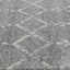 delicate-cassiday-grey-ivory-rug 160x230-2