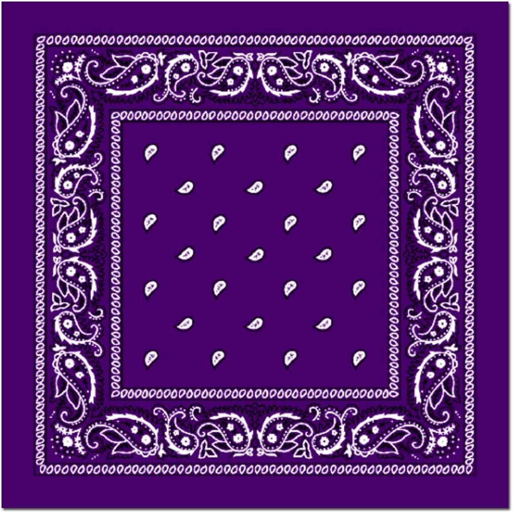 BANDANA Paisley 100% COTTON Head Wrap Durag Bandanna Summer Biker Scarf Mask - Purple-0