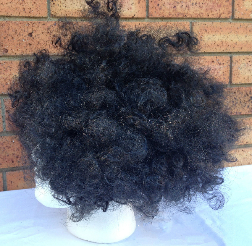 DELUXE AFRO WIG Curly Hair Costume Party Fancy Disco Circus 70s 80s Dress Up - Black-2