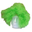 DELUXE AFRO WIG Curly Hair Costume Party Fancy Disco Circus 70s 80s Dress Up - Green-0