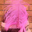 1920s FLAPPER HEADBAND Headpiece Feather Sequin Charleston Costume Gatsby Dance - Light Pink-5