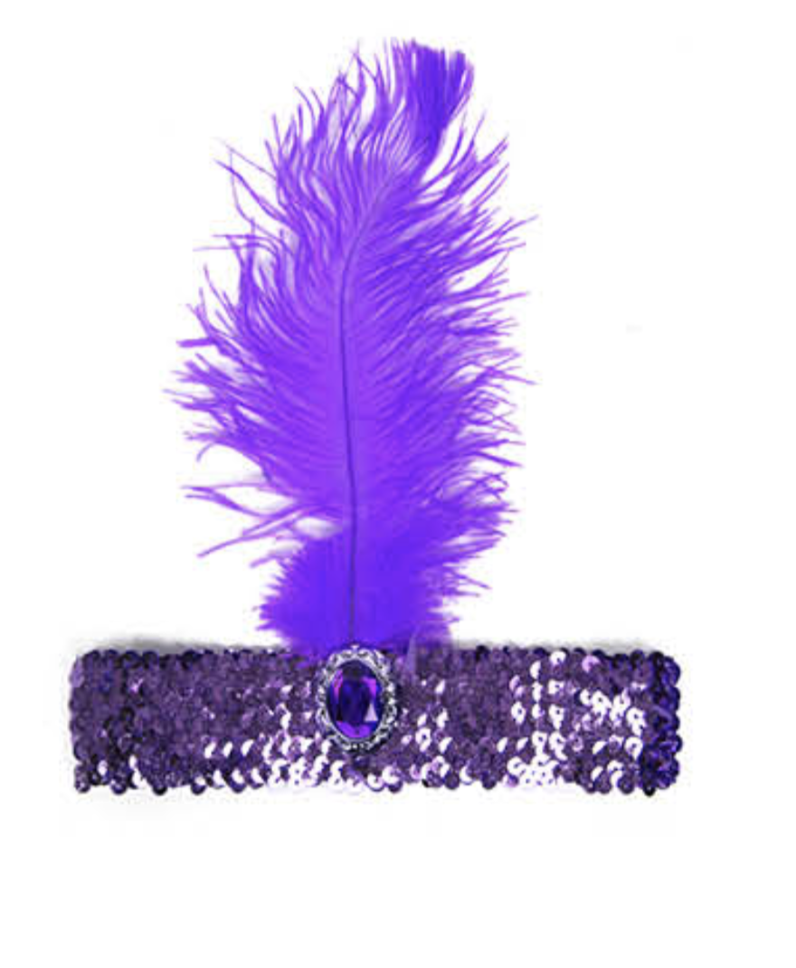 1920s FLAPPER HEADBAND Headpiece Feather Sequin Charleston Costume Gatsby Dance - Purple-0