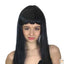 LONG WIG Straight Party Hair Costume Fringe Cosplay Fancy Dress 70cm Womens - Black (22450)-1