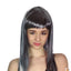 LONG WIG Straight Party Hair Costume Fringe Cosplay Fancy Dress 70cm Womens - Grey (22467)-0