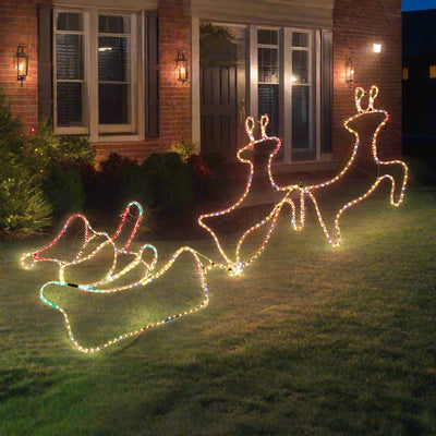 LED Ropelight Double Reindeer Sleigh Twinkle Lights-1