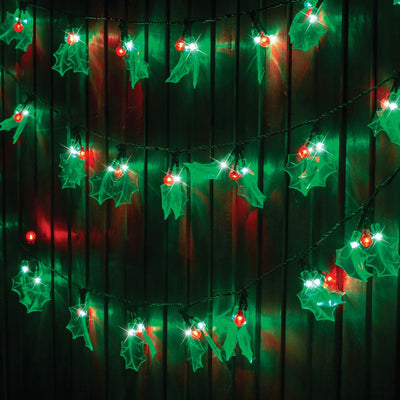 40 Pack LED Holly Lights-0