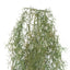 Artificial Air Plant Spanish Moss UV Resistant 100cm-1