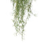 Artificial Air Plant Spanish Moss UV Resistant 100cm-3