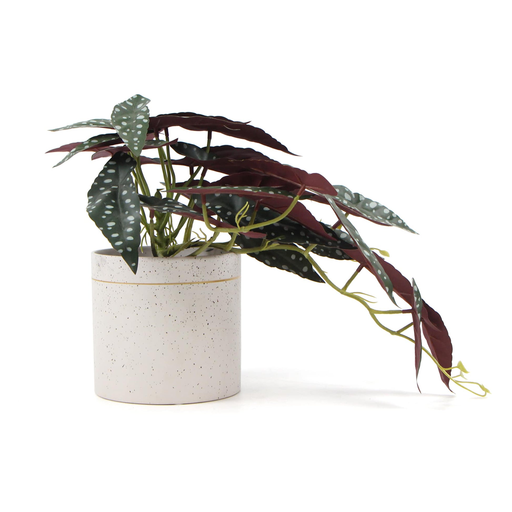 Artificial Bergonia Plant In Decorative Bowl 30cm-3