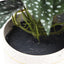 Artificial Bergonia Plant In Decorative Bowl 30cm-5