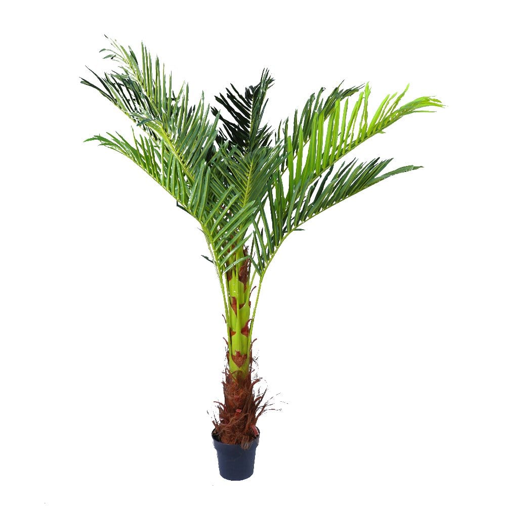 180cm Phoenix Palm - Artificial Plant, Home Decor Flora-0