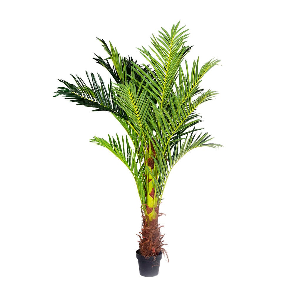 180cm Phoenix Palm - Artificial Plant, Home Decor Flora-1