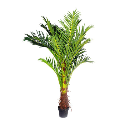 180cm Phoenix Palm - Artificial Plant, Home Decor Flora-1