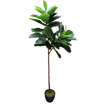 Tall Artificial Fiddle Leaf Fig 170cm-0