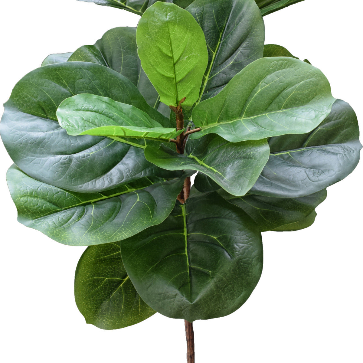 Tall Artificial Fiddle Leaf Fig 170cm-1